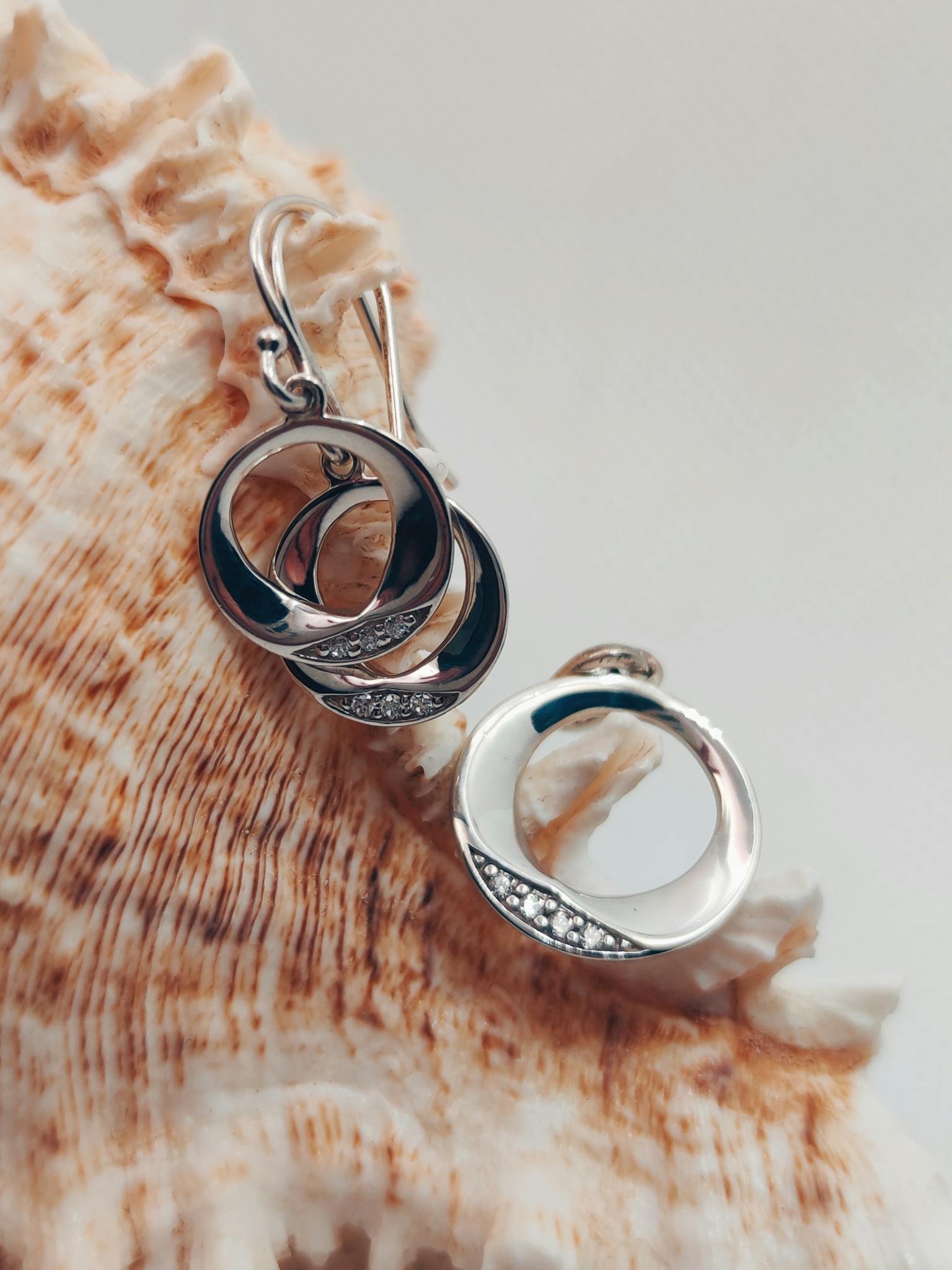 Close-up of silver circular earrings resting on a textured seashell.